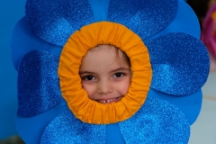DSCF3331