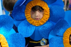 DSCF3346