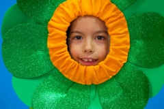 DSCF3356