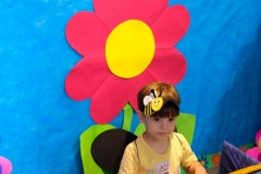 DSCF3551