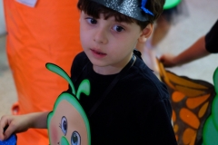 DSCF3568