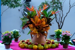 DSCF9584